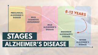 Stages and Life Expectancy of Alzheimers Disease [upl. by Margot]