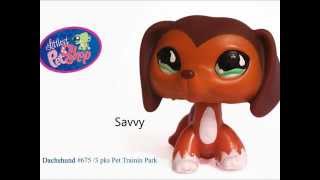 LPS Popular Character Themes [upl. by Beatrisa]