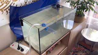 Installing an Aquael Leddy for Walking fish [upl. by Irak]