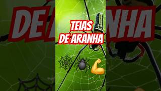 Teias de Aranha Mais Fortes que Aço 😧 🕸 curiosidades aranha [upl. by Tdnarb]