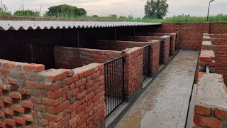 Low Budget Pig Farm Design  Piggery Business Plan [upl. by Disharoon]