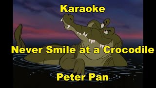 instrumental Cover  NEVER SMILE AT A CROCODILE Peter Pan LYRICS [upl. by Chubb]