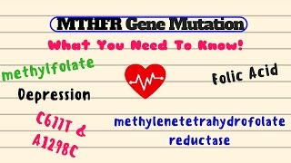 MTHFR Gene Mutation What You Need to Know [upl. by Nanaj]