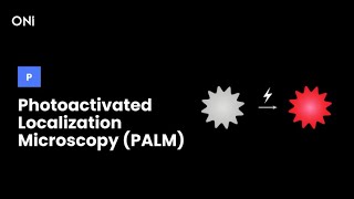 What is Photoactivated Localization Microscopy PALM [upl. by Enilrad]