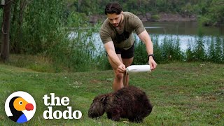 Guy Chases Down Wild Wombats To Save Their Lives  The Dodo [upl. by Amoritta]