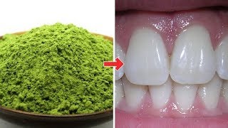 SHOCKING VIDEO You Are Consuming Wheatgrass Wrong Learn The Right Way [upl. by Tallula]