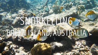 Snorkelling at Green Island Australia  Great Barrier Reef [upl. by Jany605]