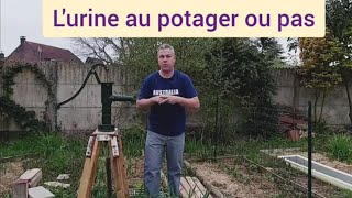 TUTO  Lurine au potager risques et bienfaits [upl. by Hrutkay]