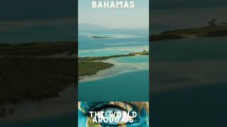 BAHAMAS Vacation Budget Travel Guide 2024 shorts [upl. by Davie]