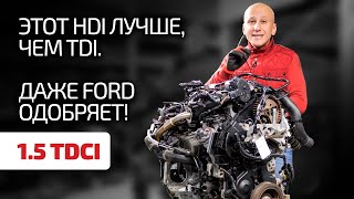 👍15 TDCI  прекрасный французский дизель для Ford Какие недостатки в нём есть [upl. by Yaf]