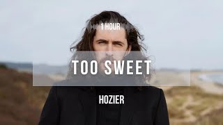 1 hour Hozier  Too Sweet  Lyrics [upl. by Llarret45]