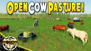 OPEN RANGE COW PASTURE Be Free Moo Cows  Farming Simulator 19 Gameplay [upl. by Laehcar188]