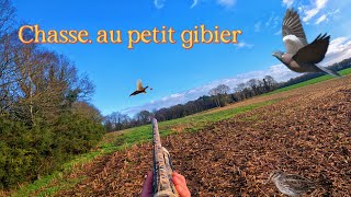 Chasse au petit gibier sur plusieurs jours [upl. by Hermione]