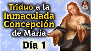 🙏 Día 1🙏Triduo a Nuestra Señora de la Inmaculada Concepción🔵 Oración y Meditación [upl. by Caia666]