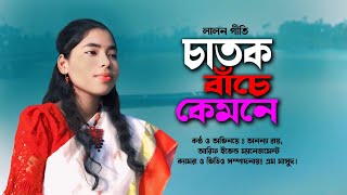 Chatok Bache Kamone  চাতক বাচে কেমনে  Ananna Roy  bangla music video  Pala Upen [upl. by Enilrek]