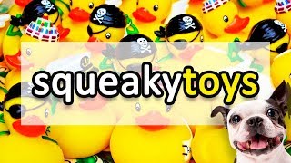 SQUEAKY TOY Sound Effect for Dogs HD [upl. by Pavkovic677]