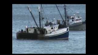 Fishing For World Famous Digby Scallops In The Annapolis Basin [upl. by Penrose]