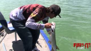 Pike Fishing How to Catch Pike at Yuba Reservoir Fishing Utah for Pike Fishit4life [upl. by Wichern]