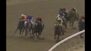 1995 Champagne Stakes  Marias Mon [upl. by Melantha]