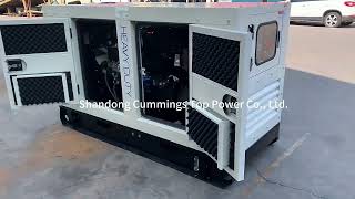 silent electric generator 40kva diesel generator price with weifang Ricardo engine 30kw generator [upl. by Eilrahc]