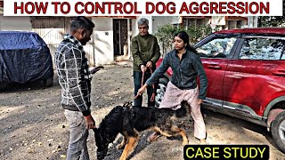 Aggressive Dog Case Study  Learn how to manage Dog Aggression with simple methods Hindi [upl. by Deirdre]