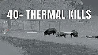 40 THERMAL KILLS [upl. by Lazes168]