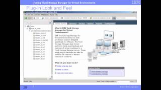 Understanding Tivoli Storage Manager for Virtual Environments [upl. by Olson269]