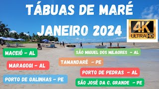 Maragogi Alagoas tábua de Marés Janeiro 2024 Maceió Porto de Galinha tamandaré  Porto de Pedras [upl. by Nnylacissej]