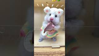 Xiaobiga eats pig spleen bear cutepet debut plan Raising rat daily sharing hamster cute pet [upl. by Nylekoorb]