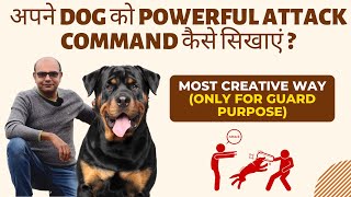 How to teach Attack Command to your dog  Only for Guard Purpose  Step by Step training guide [upl. by Nitsuga]