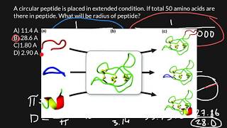 How to do calculations with amino acids [upl. by Cressy444]