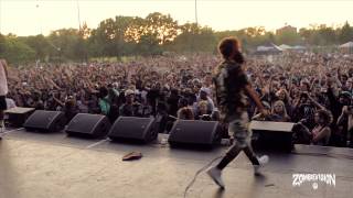 ZOMBiEVision Episode 1 Flatbush Zombies Headline NYC Summerstage 2013 [upl. by Lau]