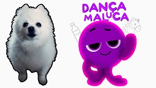 Dança Maluca Bolofofos em cachorrês [upl. by Pax896]