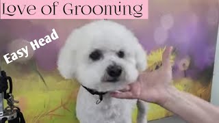 How to quickly trim a pet Bichons Head [upl. by Aremus]