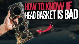 How to See if Head Gasket is Blown  7 Ways to Test [upl. by Juno936]