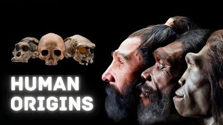 What Happened Before History Human Origins [upl. by Macfadyn]