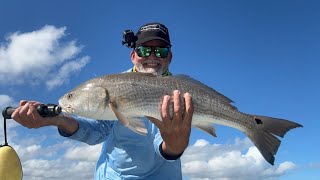 Mosquito Lagoon Fishing Report 1272024 [upl. by Ecadnarb]