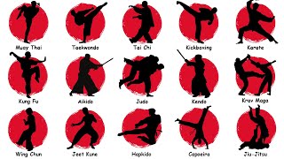 Every MAJOR MARTIAL ART STYLE Explained In 12 Minutes [upl. by Carder661]