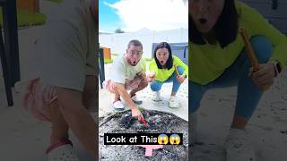 They found mystery box 😱😱 Whats inside shorts ytshorts youtubeshorts [upl. by Erdnoed818]