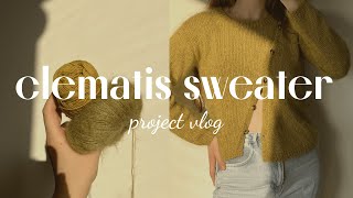 knit with me clematis sweater  test knitting yarn and pattern review  project vlog by kniteryna [upl. by Minoru958]