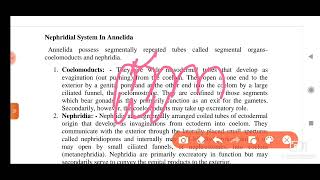 Filter feeding  structure and method in polychaeta msc zoology 1 semester notes amp explanation [upl. by Aw]