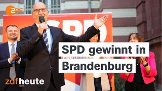 Woidkes SPD gewinnt nach KopfanKopfRennen mit der AfD  Landtagswahl in Brandenburg [upl. by Servetnick874]