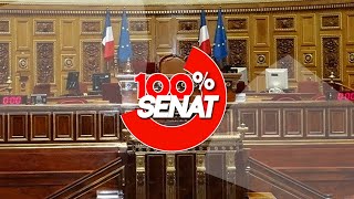 Budget 2024  le Sénat vote les crédits de la mission sécurité [upl. by Atterual]