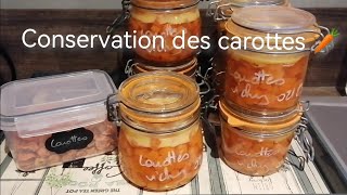 Conservation des carottes en stérilisation et deshydratation [upl. by Adelpho]