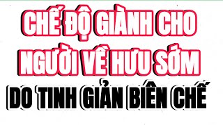 TIN NÓNG Chế độ đối với người nghỉ hưu trước tuổi do TINH GIẢN BIÊN CHẾ [upl. by Jarietta163]