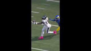 AJ Brown OneHanded Catch [upl. by Boote]