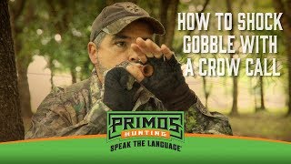 How to Make a Turkey Gobble with a Crow Call [upl. by Biancha]