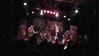 Fleshless live  Berlin Deathfest 2017 [upl. by Walcott155]