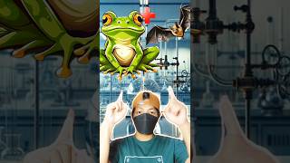 Frog  bat ex  animals animals incredible experiment animals hybrid amazing shorts edit ai [upl. by Ahseinaj]