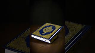 Moutasem AlHameedi Surah AlFurqan Ayat 2177 Heartfelt Recitation [upl. by Yelsehc270]